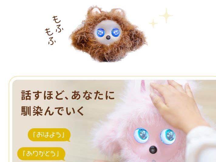 KOTTI（コッティ）