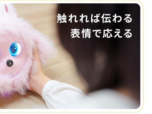 KOTTI（コッティ）