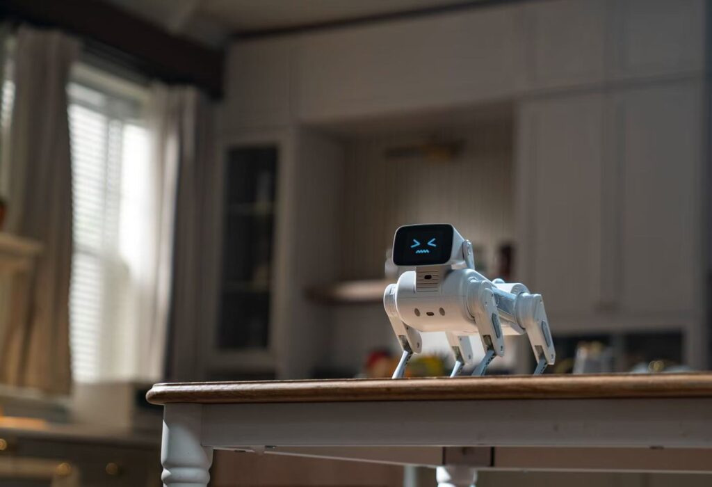 Gogobot D1