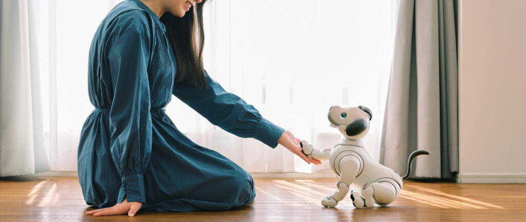 aibo