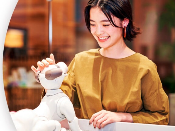 aibo