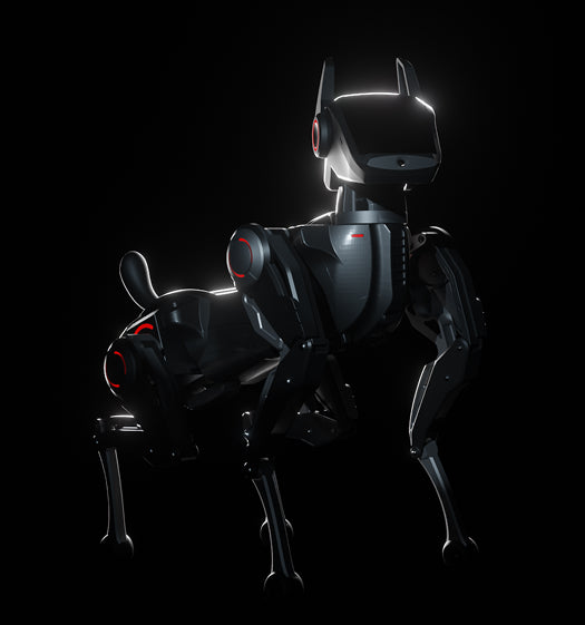 Hengbot Sirius