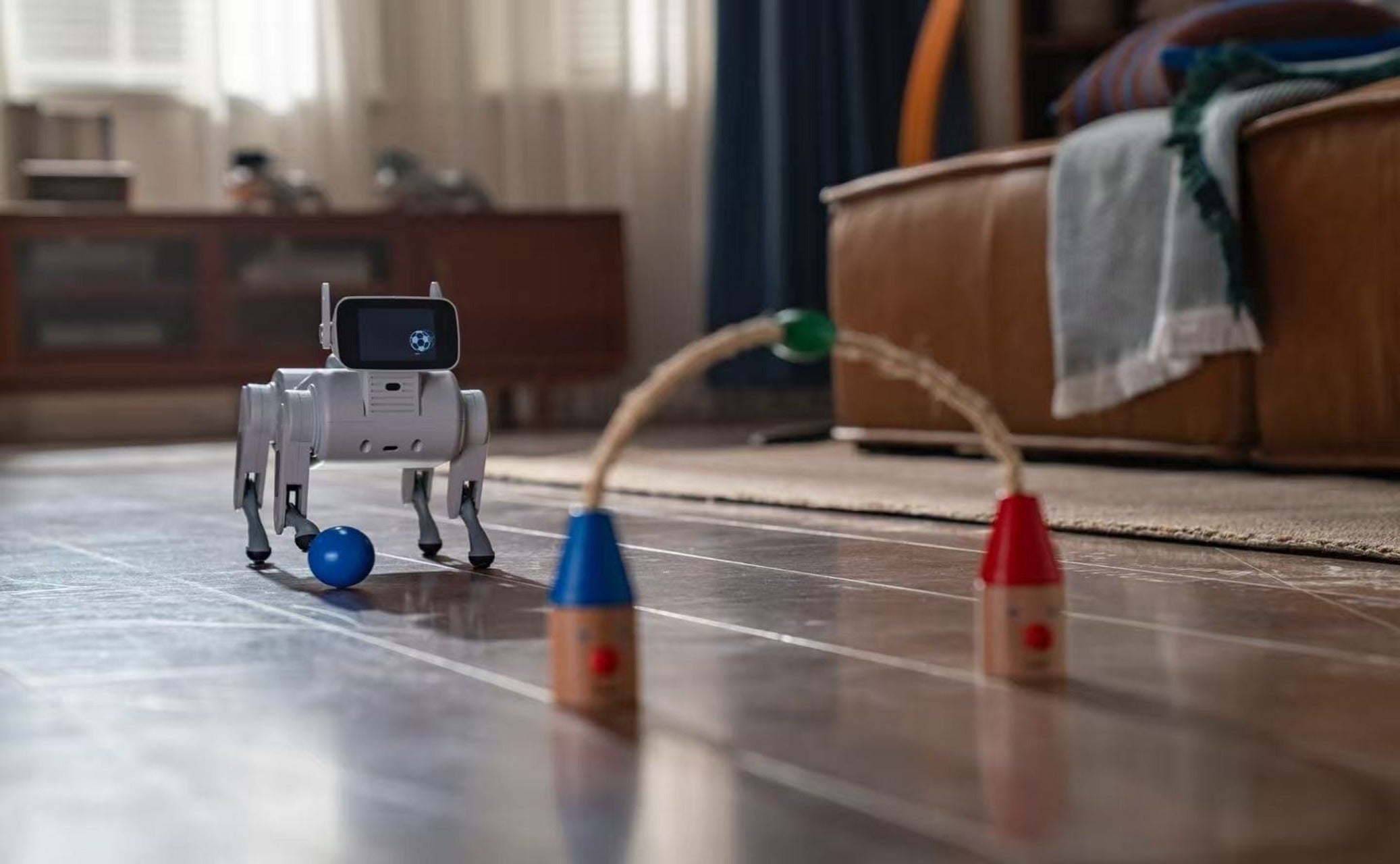 Gogobot D1 3