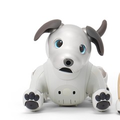 aibo