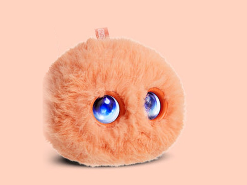 Fuzozo