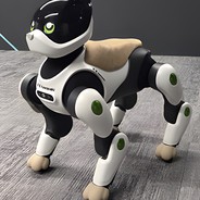Home LEO試作機の全身