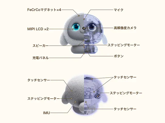 lopeto(ロペット)