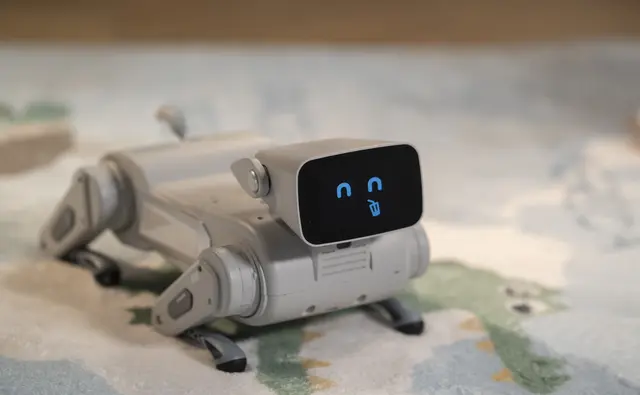 Gogobot D1 3